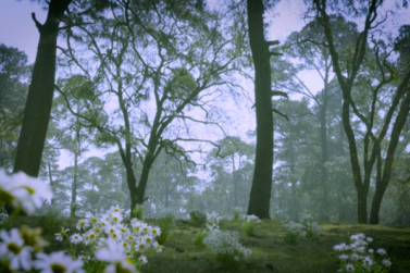 Libertad sin engaños ni promesas falsas