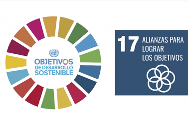 Agenda 2030-Objetivo 17-Alianzas para lograr los objetivos