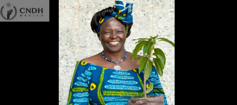 Wangari Maathai primer Premio Nobel de la Paz a mujer africana