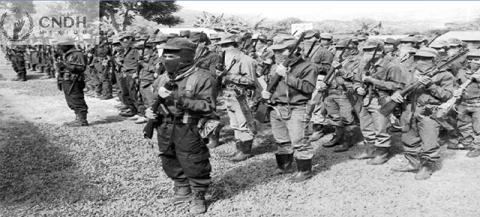 Levantamiento armado del Ejército Zapatista de Liberación Nacional  (EZLN)