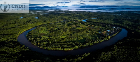 Decenio de las Naciones Unidas sobre la Restauración de los Ecosistemas 