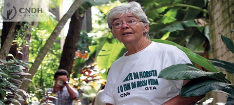 Dorothy Stang  Estadounidense, nacionalizada brasileña, luchadora por los derechos humanos y sociales