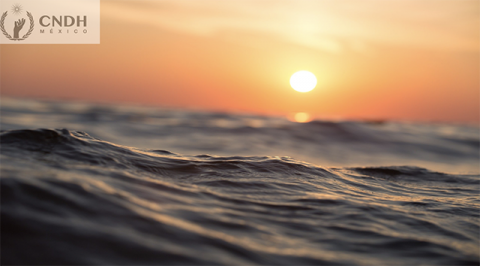 Día Mundial del Agua  Derecho al agua potable y saneamiento 