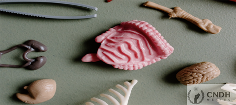 Día Mundial de la Salud (OMS)