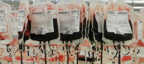 Día Mundial del Donante de Sangre