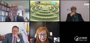 Presidenta de la CNDH, participó en reunión con Alta Comisionada de la ONU para los DDHH e Instituciones de Derechos Humanos del Continente Americano 