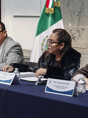 Comunicado de Prensa