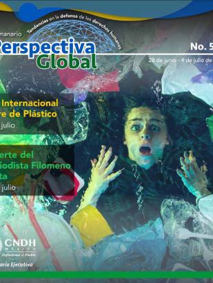 Perspectiva Global 542