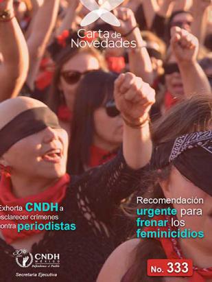 Carta de Novedades 333