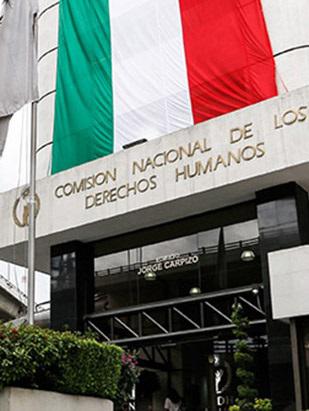 Comunicado de Prensa 