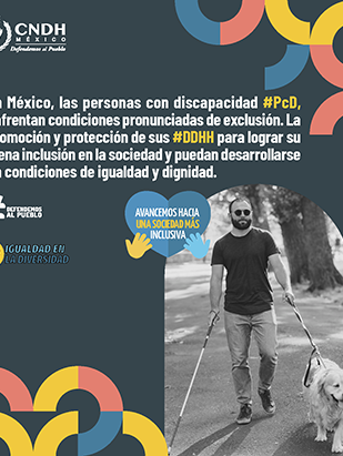 Violencia Personas con Discapacidad