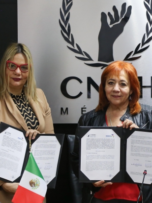 Comunicado de Prensa