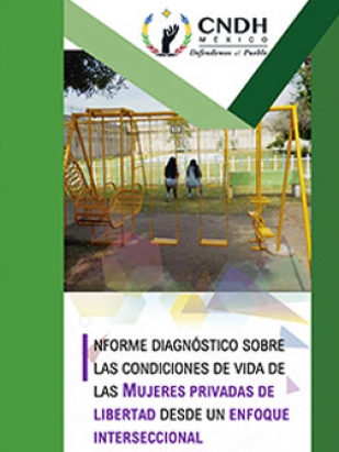 Informe Diagnóstico Sobre las Condiciones de Vida de las Mujeres Privadas de la Libertad desde un enfoque interseccional