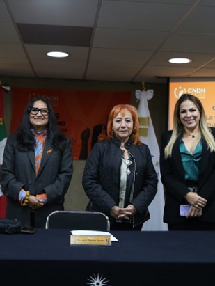 CNDH impulsa cultura de cero tolerancia a la violencia ejercida contra niñas y mujeres en México