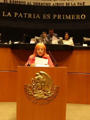 En el Senado de la República, la Presidenta de la CNDH ratifica su compromiso con la defensa de los DDHH y su disposición para entablar un diálogo constructivo 