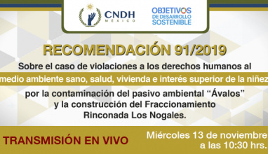 Presentación de la Recomendación 91/2019