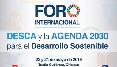 Foro Internacional Desca y la Agenda 2030